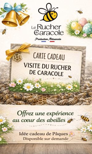 Vivre une Expérience à brignais - Visiter un rucher
