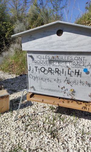 parrainage de ruche à Brignais